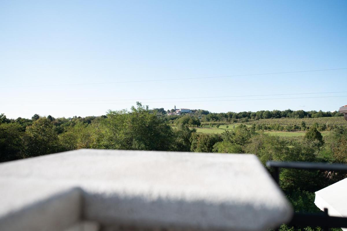 Castle House Rooms, Swimming Pool & Sauna & Tennis Court & Wine Cellar Sezana Ngoại thất bức ảnh